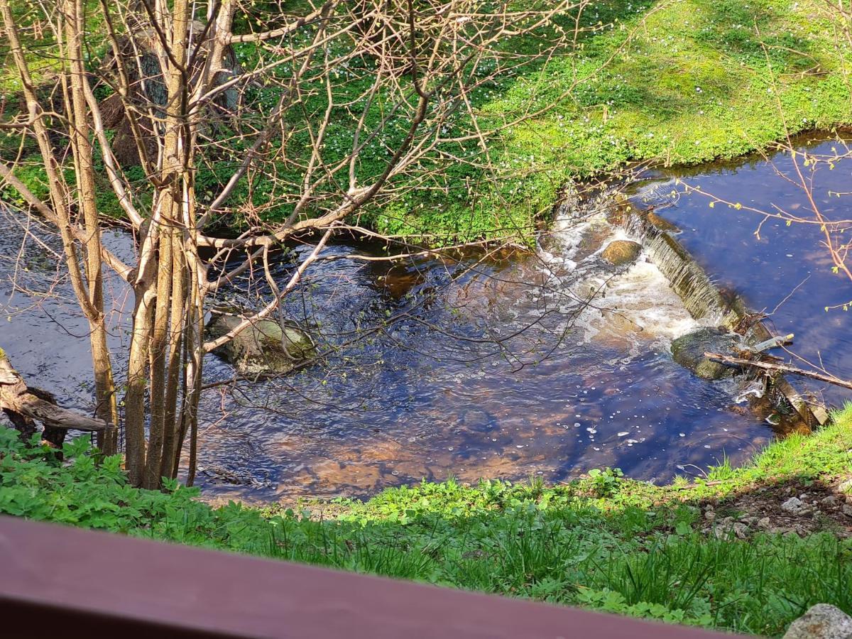 Apartamentai Renata Druskininkai Dış mekan fotoğraf