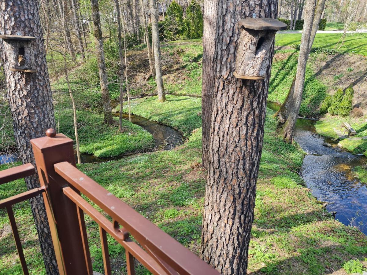 Apartamentai Renata Druskininkai Dış mekan fotoğraf