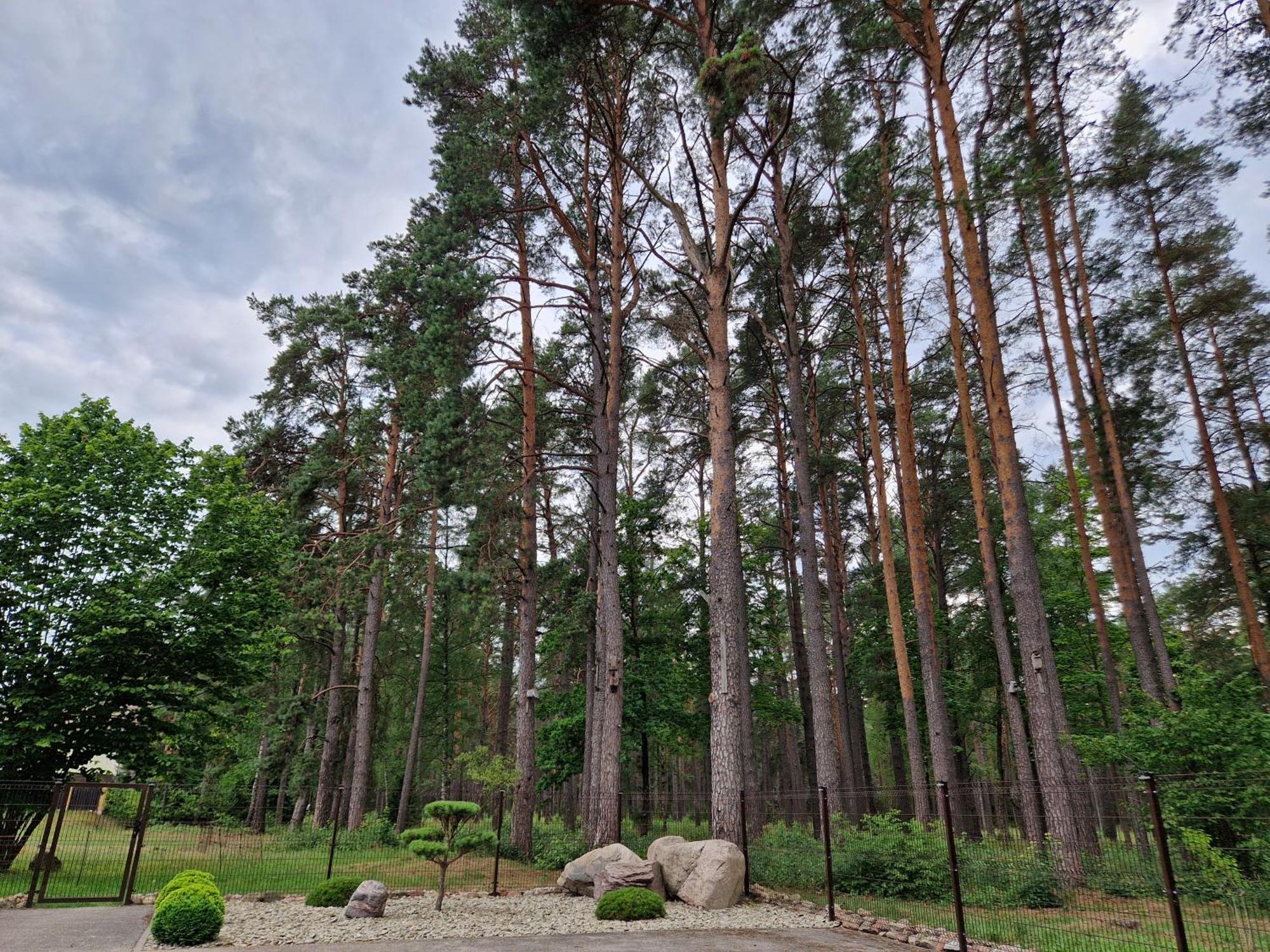 Apartamentai Renata Druskininkai Dış mekan fotoğraf
